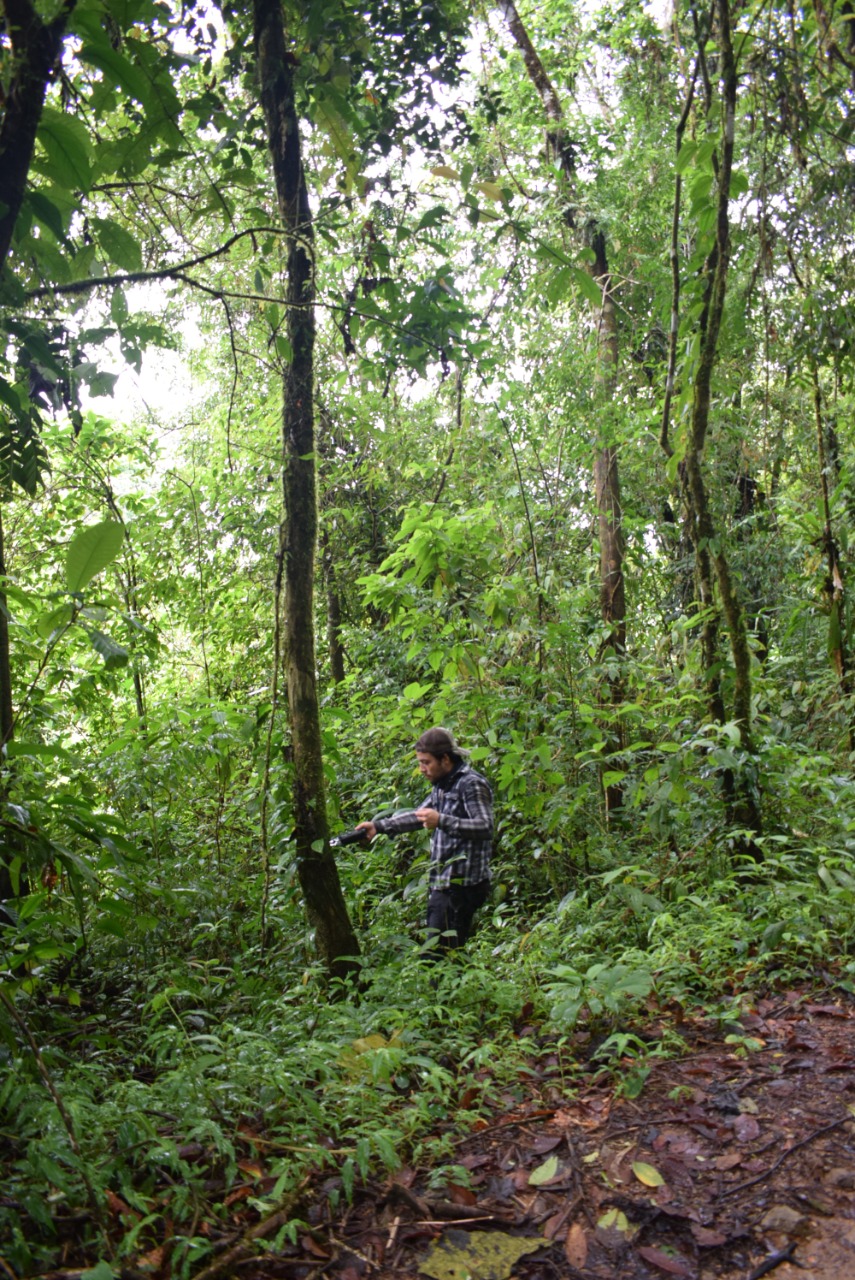 Bioacoustics fieldwork